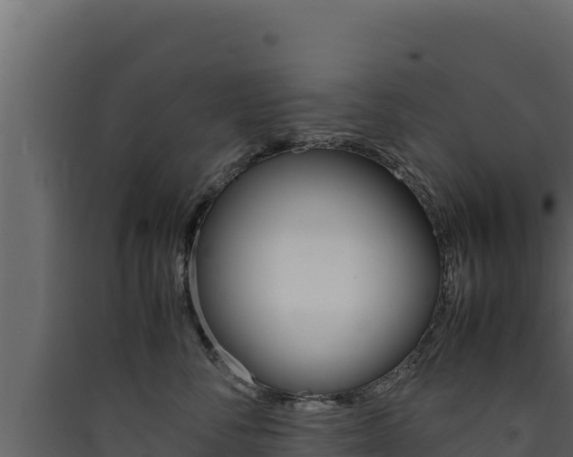 X0000090430716200707131008