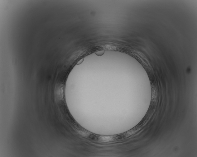 X0000090430717200707131008