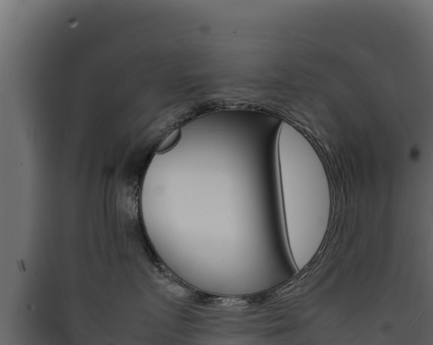X0000090430719200707131008