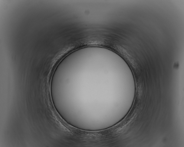 X0000090430721200707131008