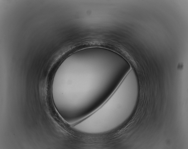X0000090430722200707131008