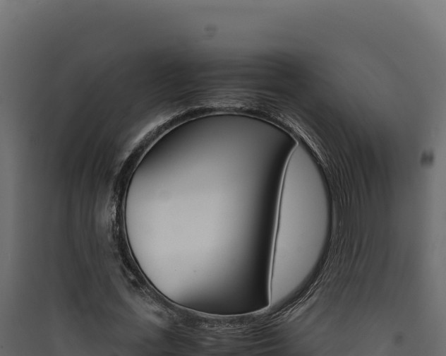 X0000090430723200707131008