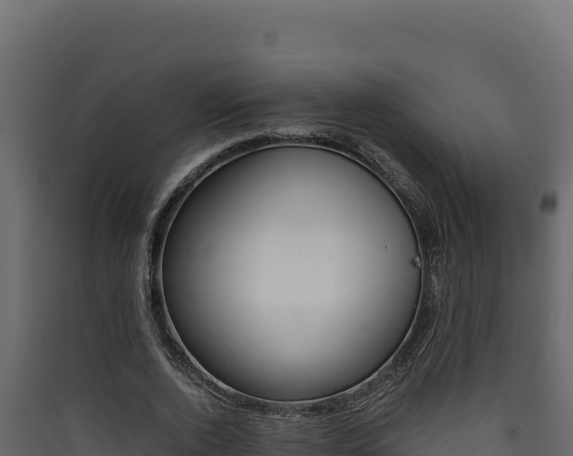 X0000090430728200707131008