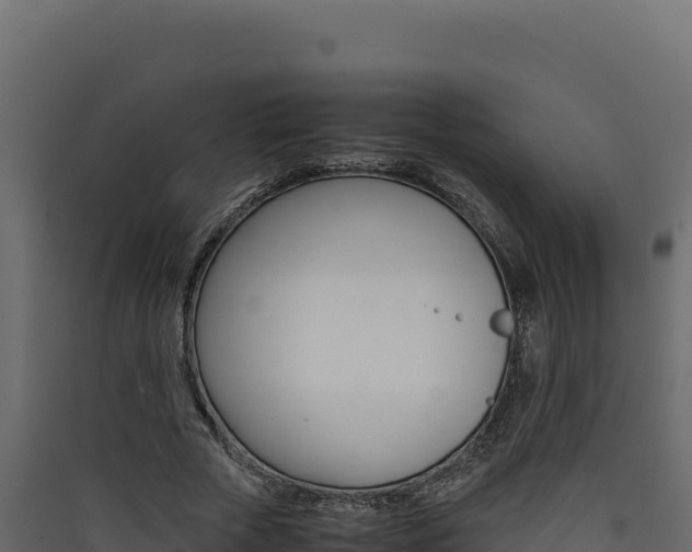 X0000090430729200707131008