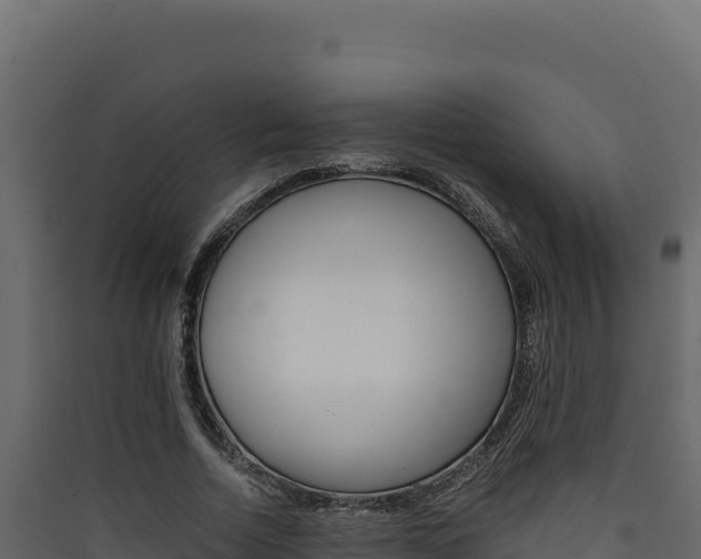 X0000090430730200707131008