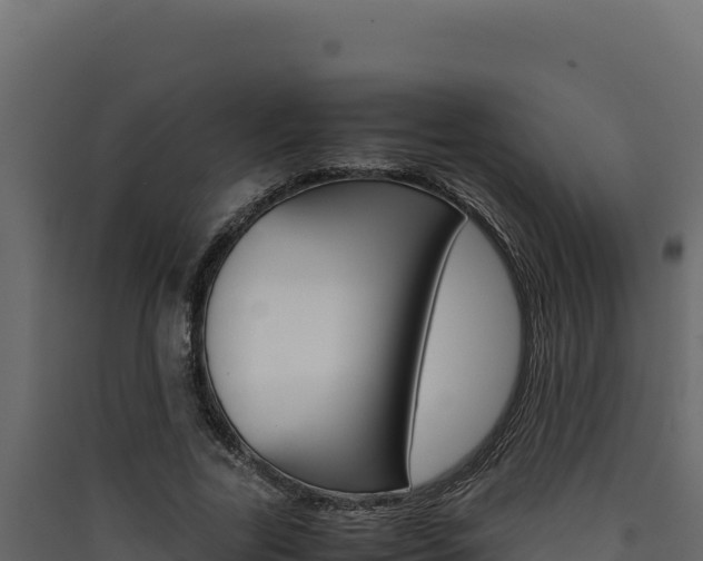 X0000090430731200707131008