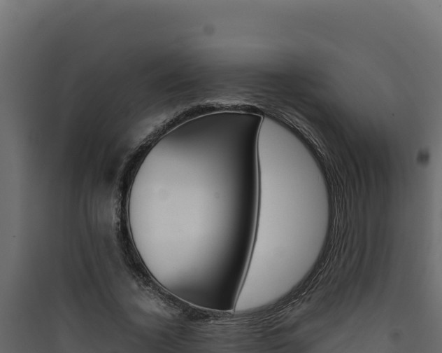 X0000090430732200707131008