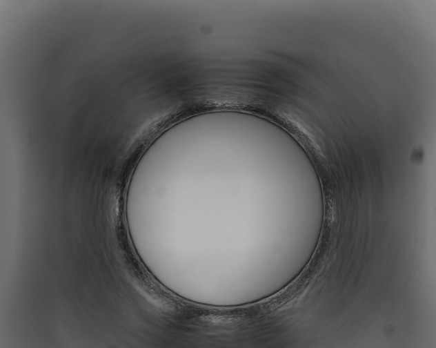 X0000090430733200707131008