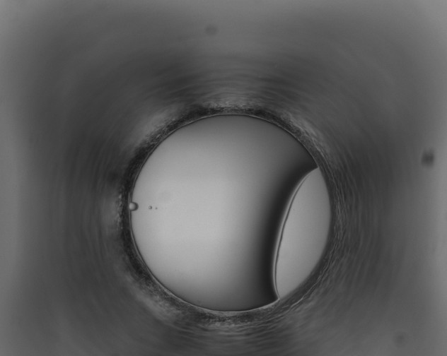 X0000090430735200707131008