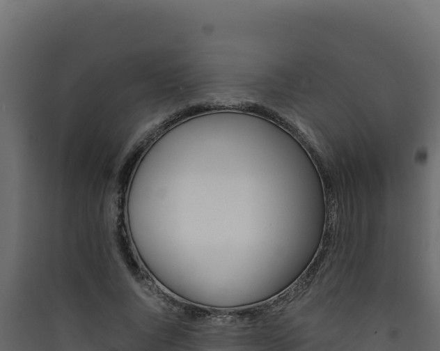 X0000090430736200707131008
