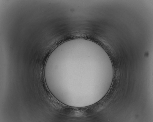 X0000090430737200707131008