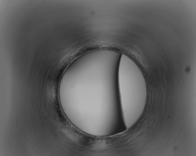 X0000090430740200707131008
