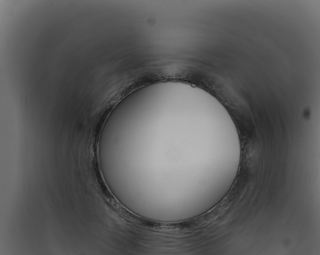 X0000090430746200707131008