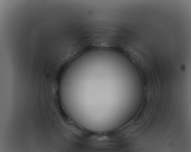 X0000090430747200707131008