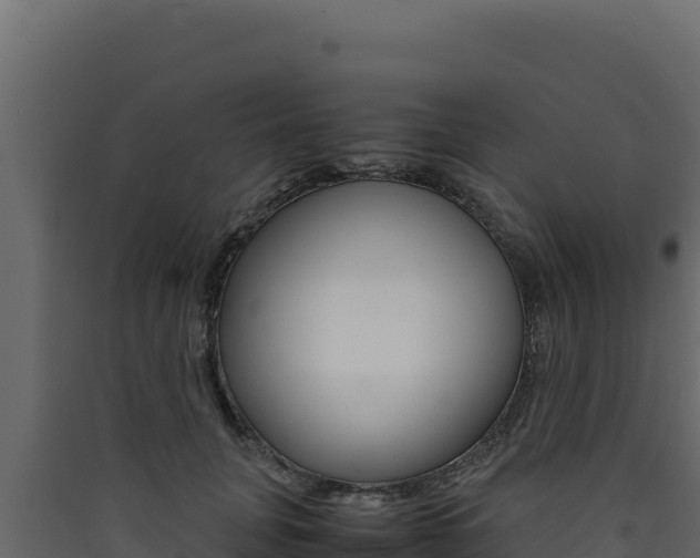 X0000090430751200707131008