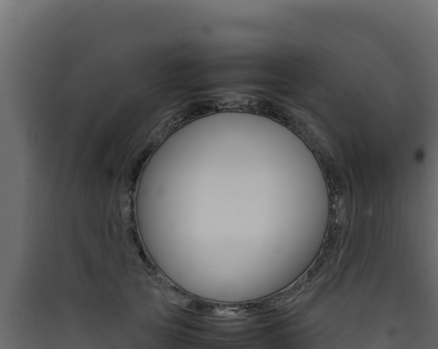 X0000090430753200707131008