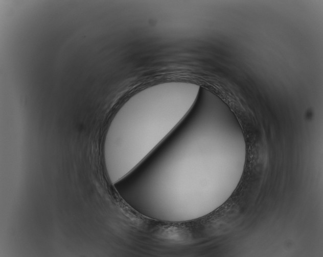 X0000090430755200707131008
