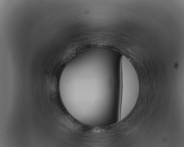 X0000090430760200707131008