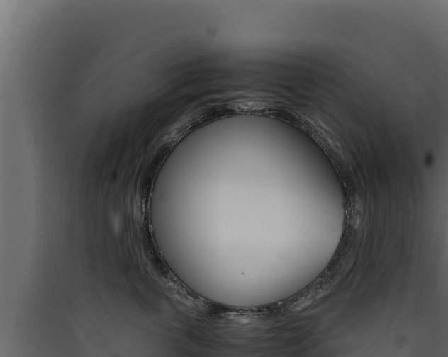 X0000090430763200707131008