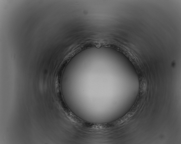 X0000090430764200707131008