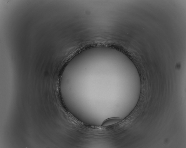 X0000090430768200707131008