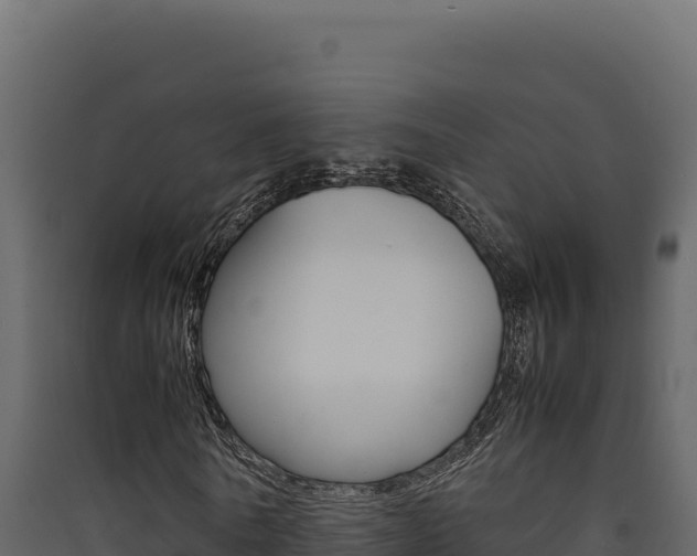 X0000090430770200707131008
