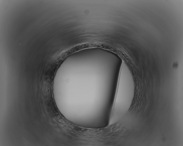 X0000090430773200707131008