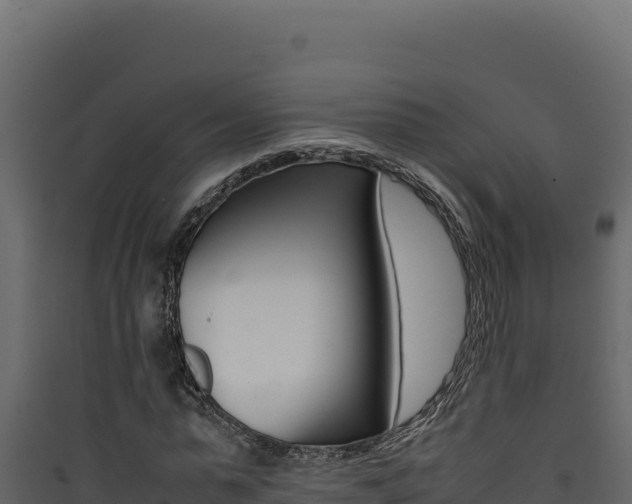 X0000090430775200707131007