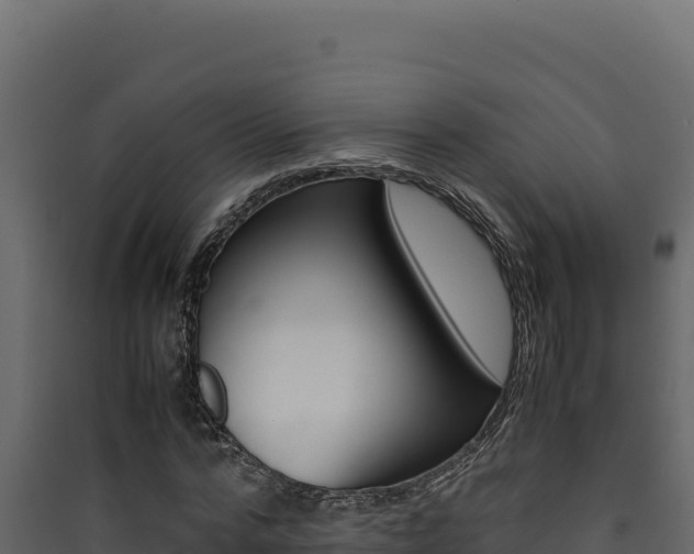 X0000090430776200707131007