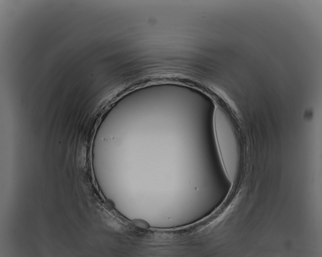 X0000090430777200707131007
