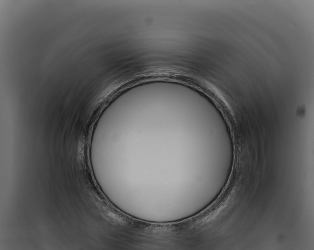 X0000090430778200707131007