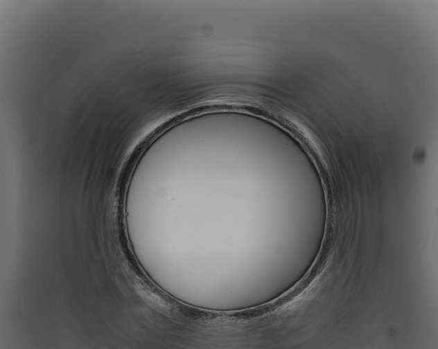 X0000090430779200707131007