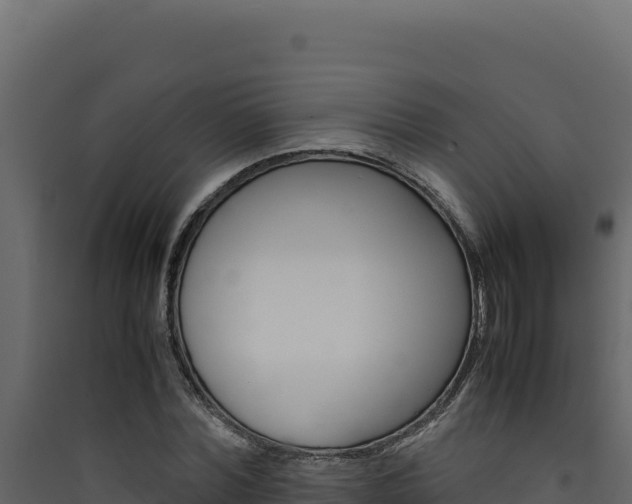 X0000090430780200707131007