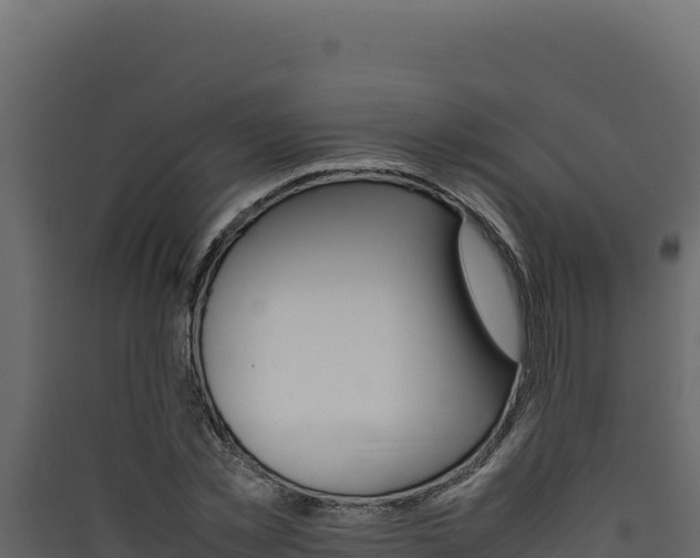 X0000090430781200707131007