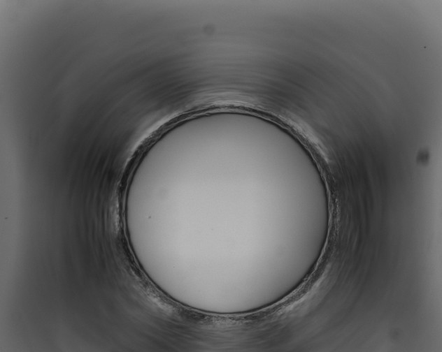 X0000090430782200707131007