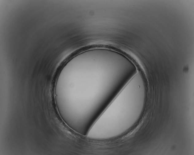 X0000090430783200707131007