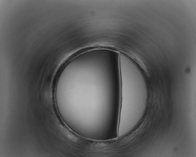 X0000090430784200707131007