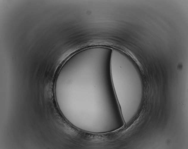 X0000090430786200707131007