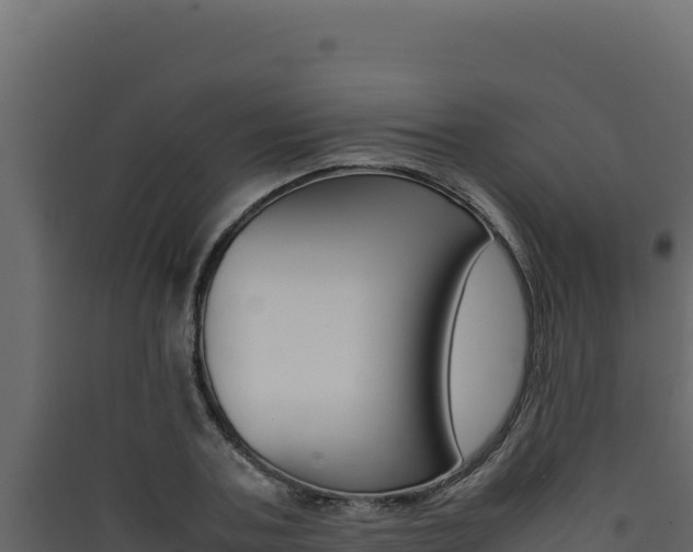 X0000090430787200707131007