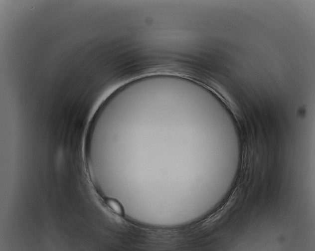 X0000090430788200707131007