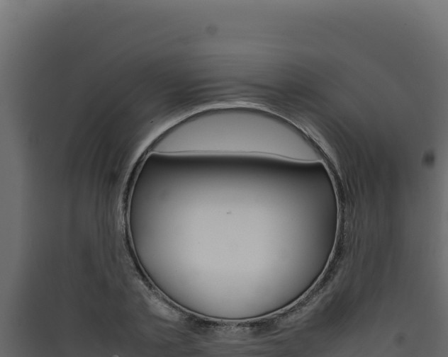 X0000090430789200707131007