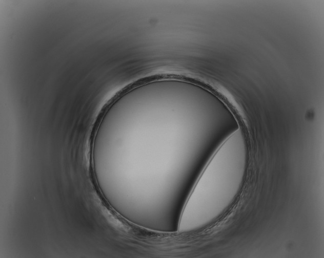 X0000090430791200707131007