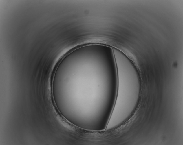 X0000090430792200707131007