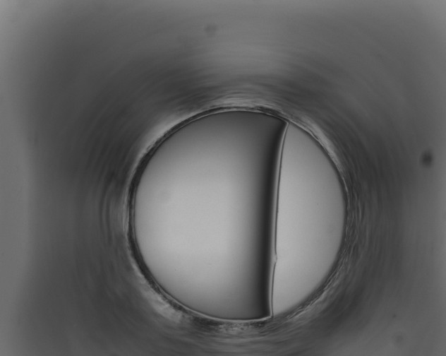 X0000090430795200707131007