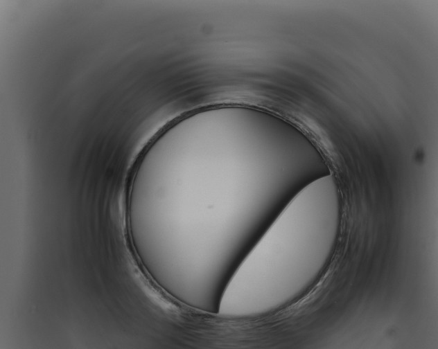 X0000090430796200707131007