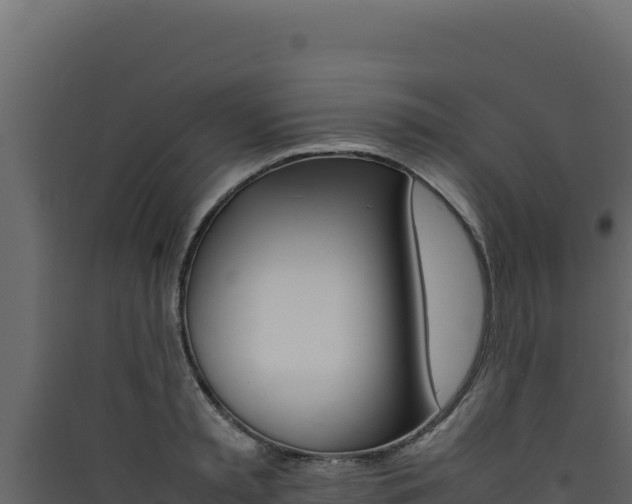 X0000090430797200707131007