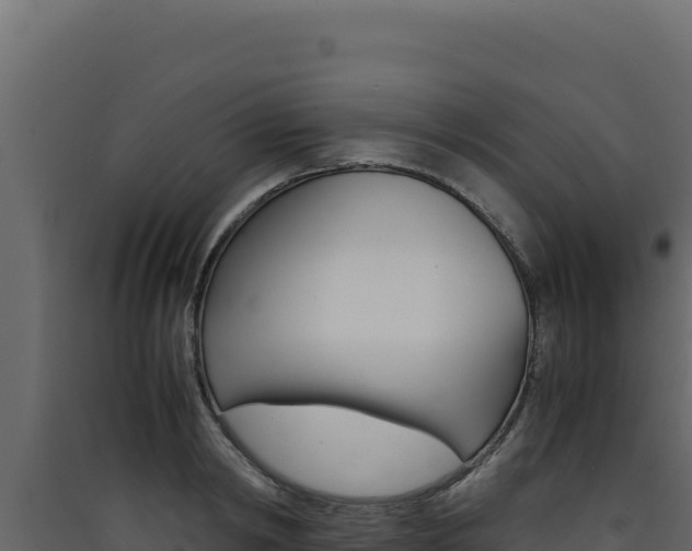 X0000090430798200707131007