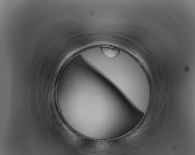 X0000090430799200707131007