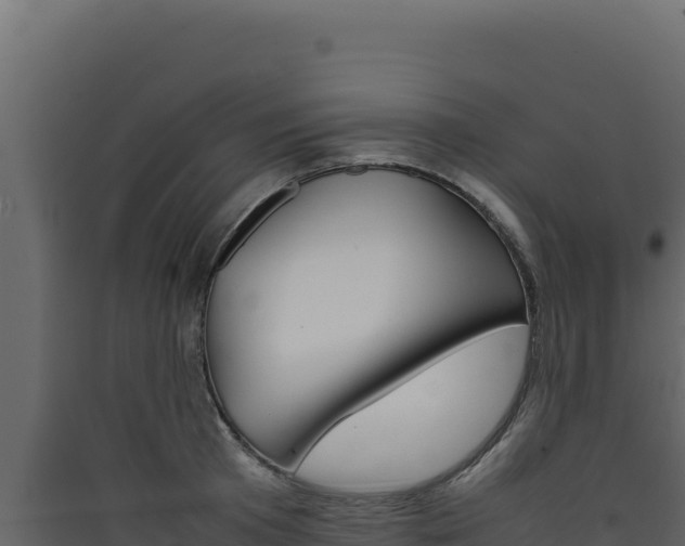 X0000090430801200707131007