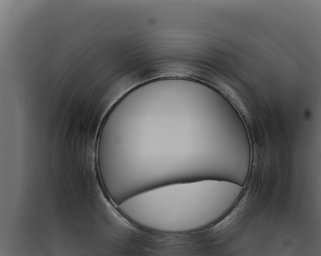 X0000090430802200707131007